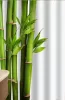 Zuhanyfüggöny - BAMBOO CANE - Impregnált textil - 180 x 200 cm